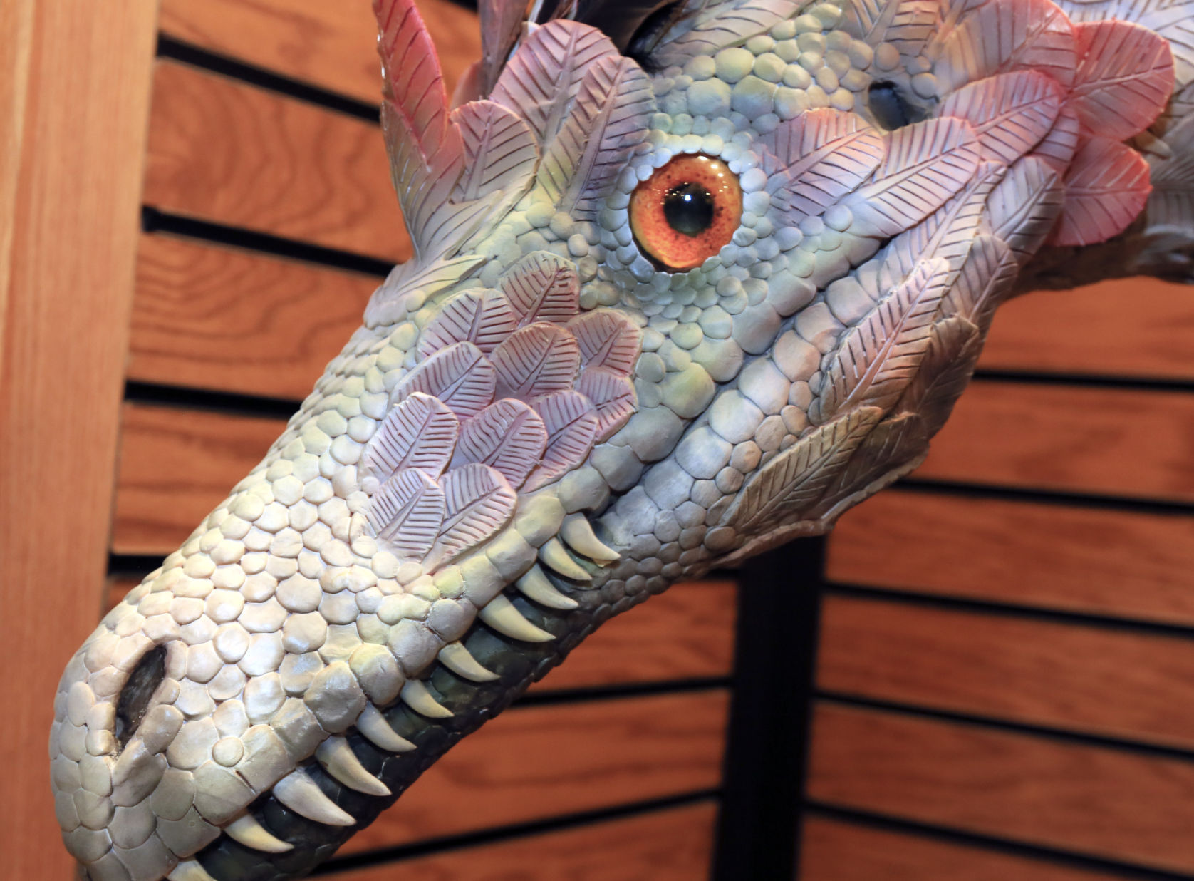MG RU Velociraptor 082020